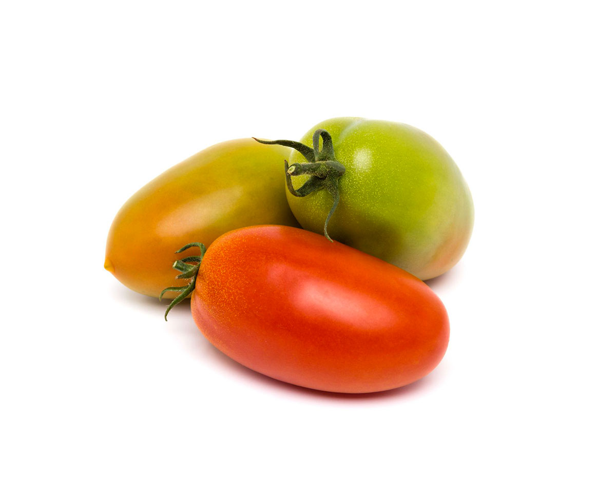 Pomodoro Insalataro